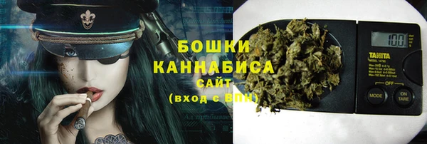 дживик Карпинск
