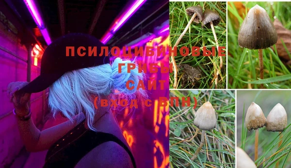 дживик Карпинск