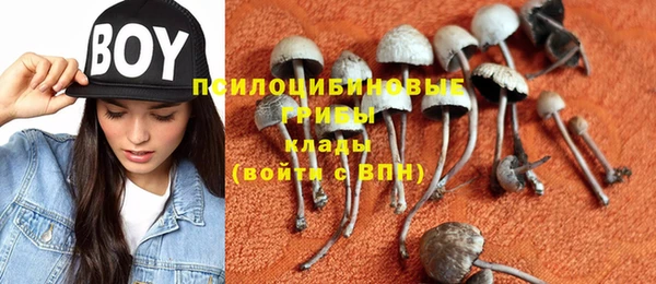 дживик Карпинск