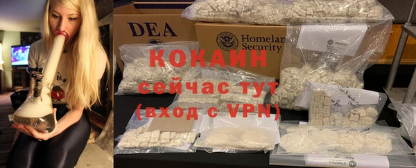 дживик Карпинск