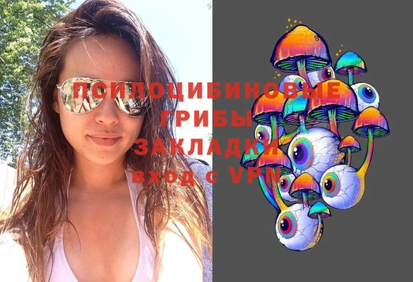 дурь Карталы